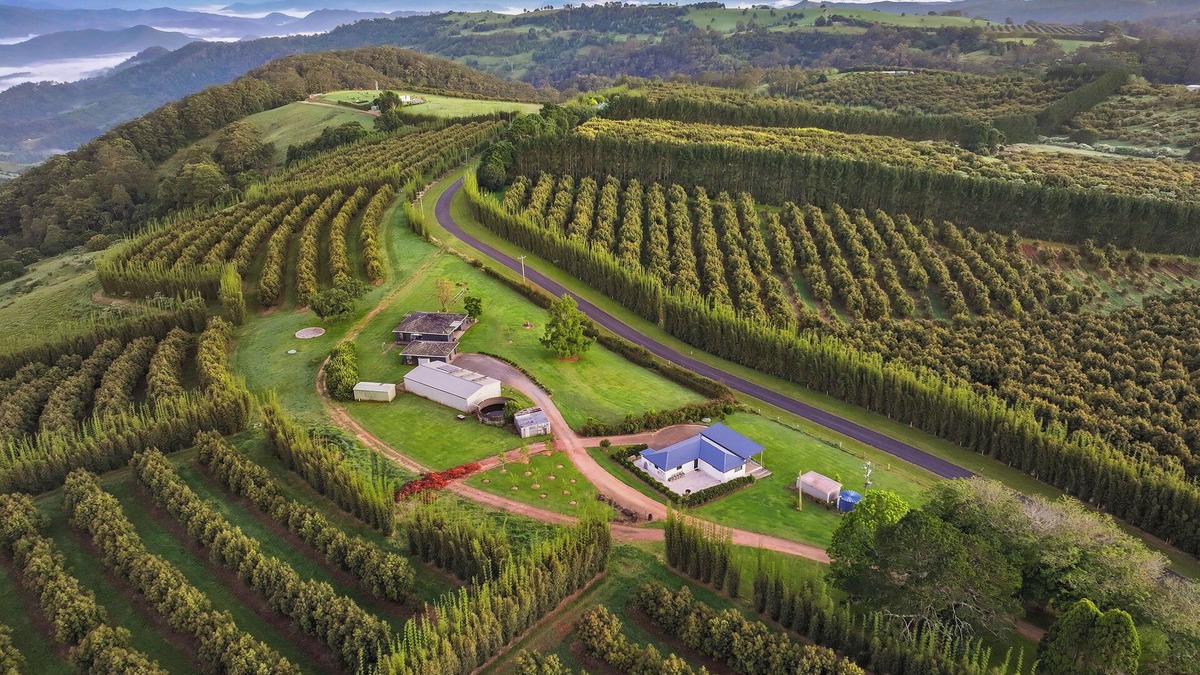 Comboyne House | A Wonderful Country Relax. Reconnect with nature.