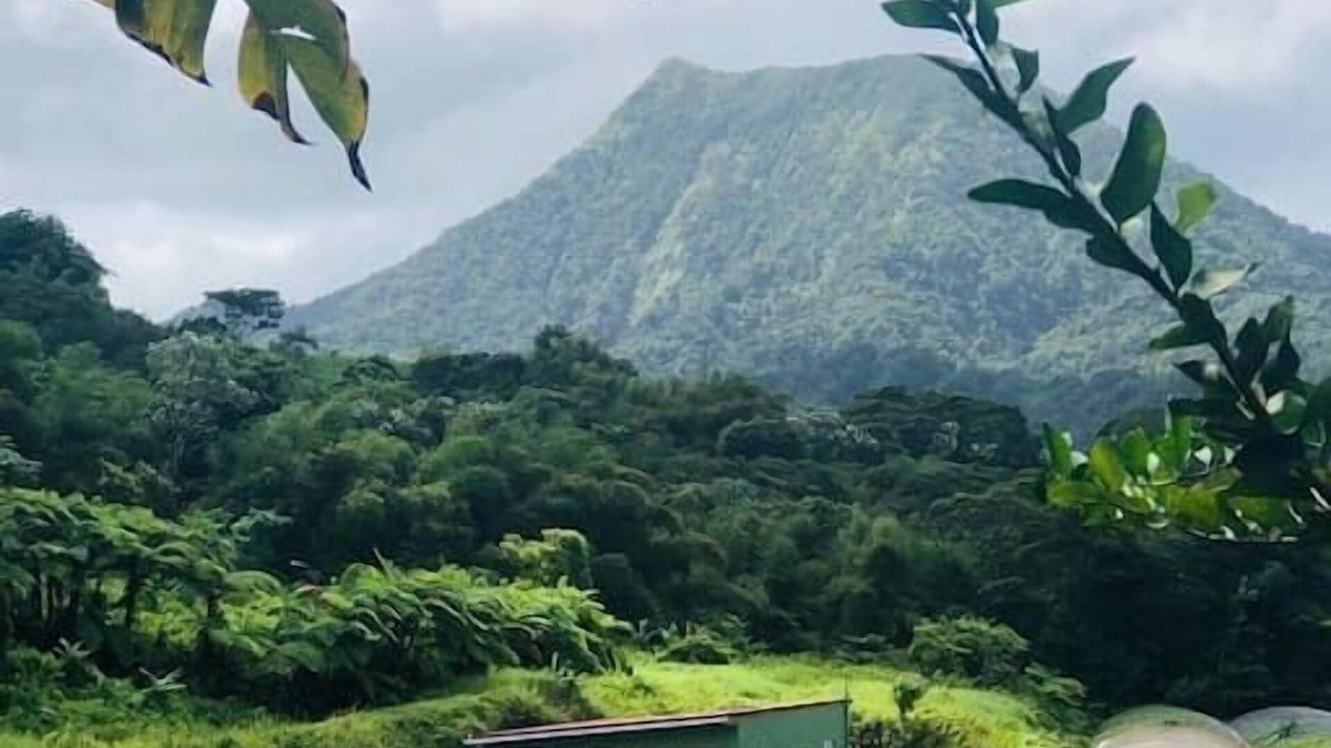Le Morne-Rouge House | A ylang ylang room in the heart of nature