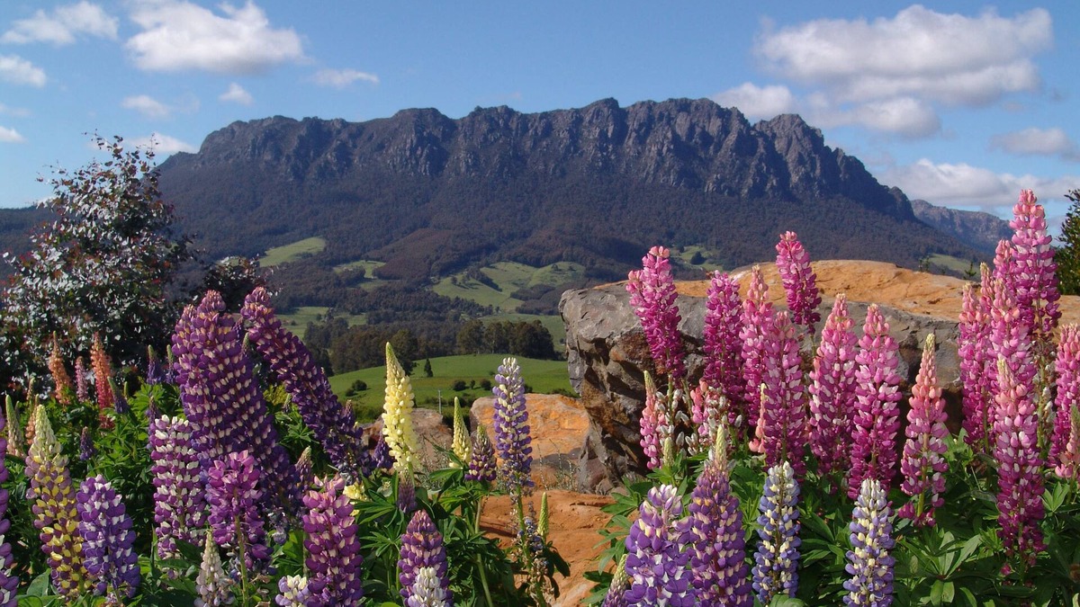 Promised Land Cottage | AAA Granary Accommodation