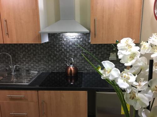 Camperdown Apartment | Abacus Jamaica the Zana Suites