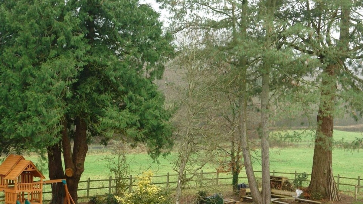 Honiton Cottage | Abbots Manor