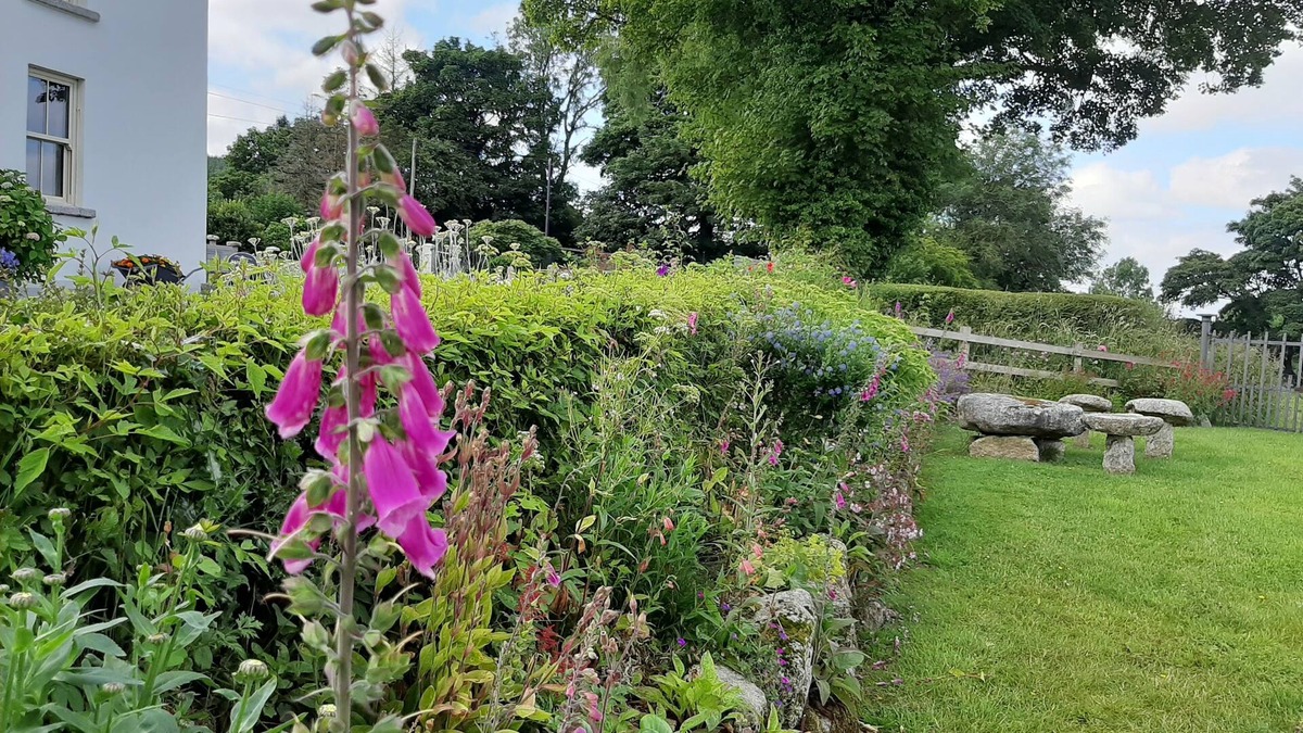 Hollywood Bed & Breakfast | Abhainn Ri Farmhouse B&B