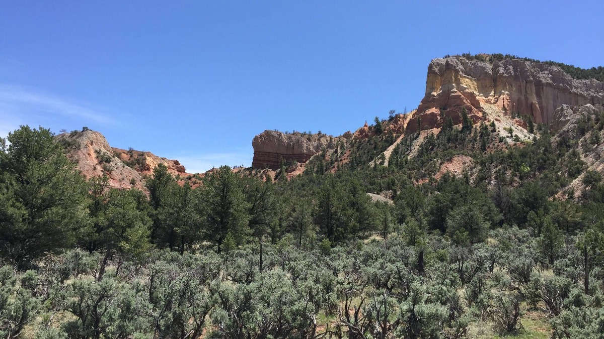 Youngsville Apartment | Abiquiu area, nestled within arms of Cerro Pedernal, Ghost Ranch & Abiquiu Lake