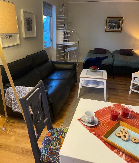 Vaxjo Apartment | Abonnera centralt Växjö