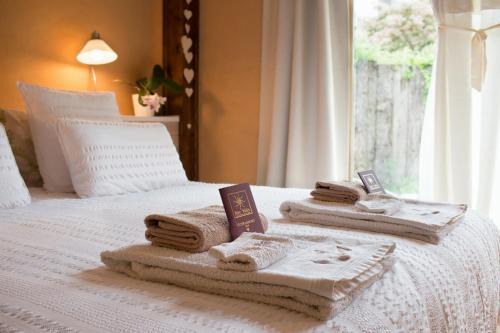 Parisot Bed & Breakfast | Absolut Oiseaux