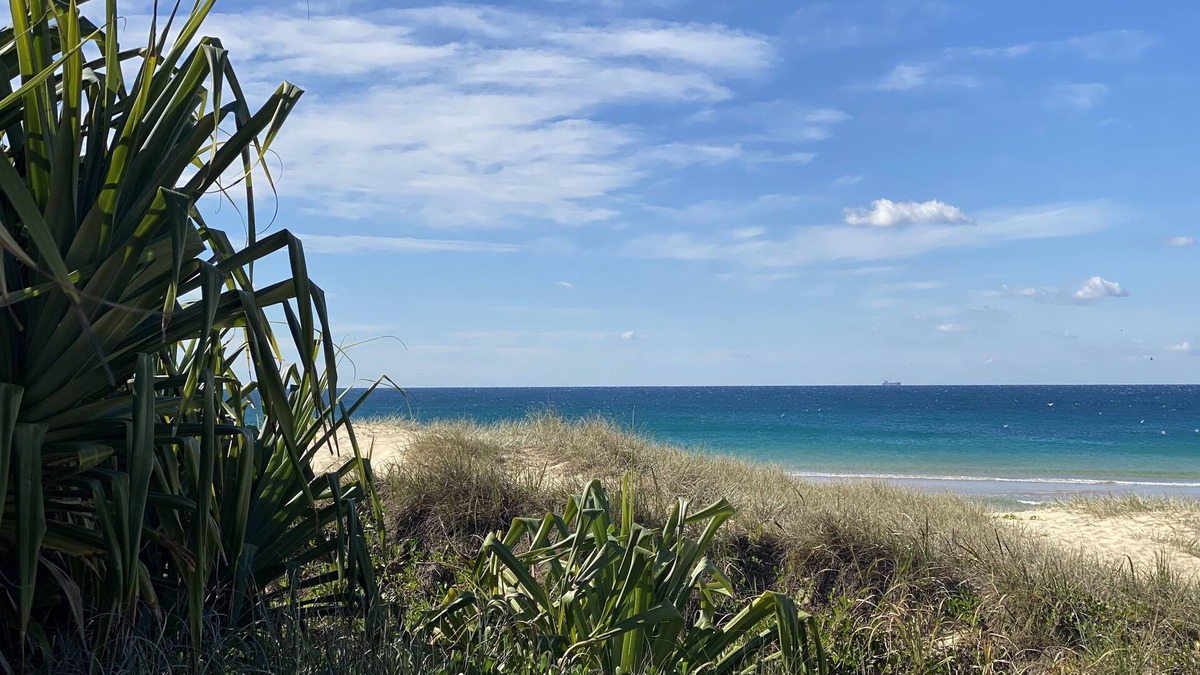 Wurtulla House | Absolute beachfront- Bush, Beach, Dogs, Relax!