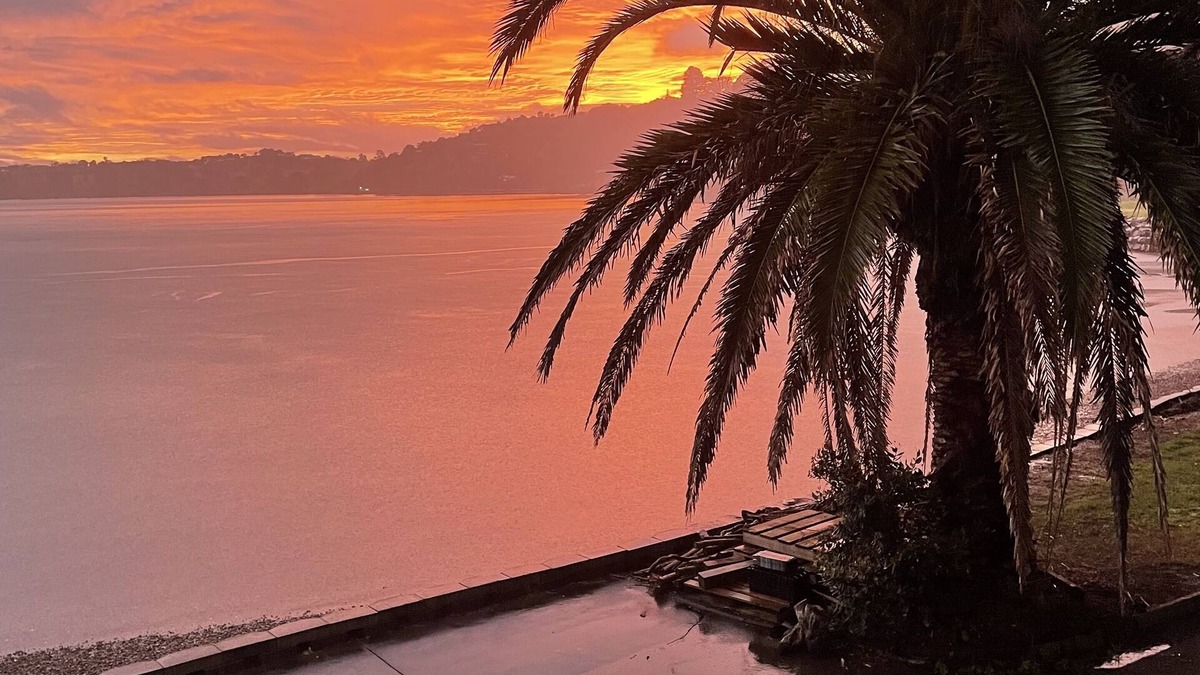 Parua Bay House | Absolute Waterfront Self Contained 2 bedroom beachfront unit