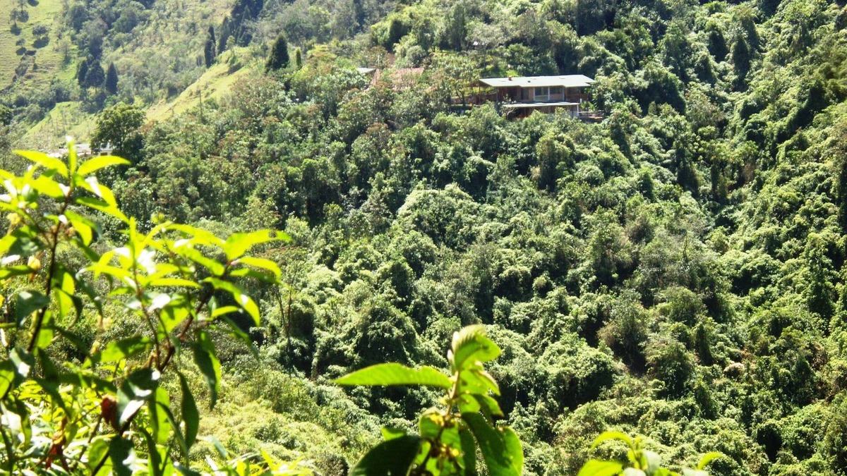 Calacali Bed & Breakfast | Abundant and peaceful nature in the vicinity of Quito