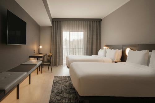 Asheville Hotel | AC Hotel Asheville Biltmore Village