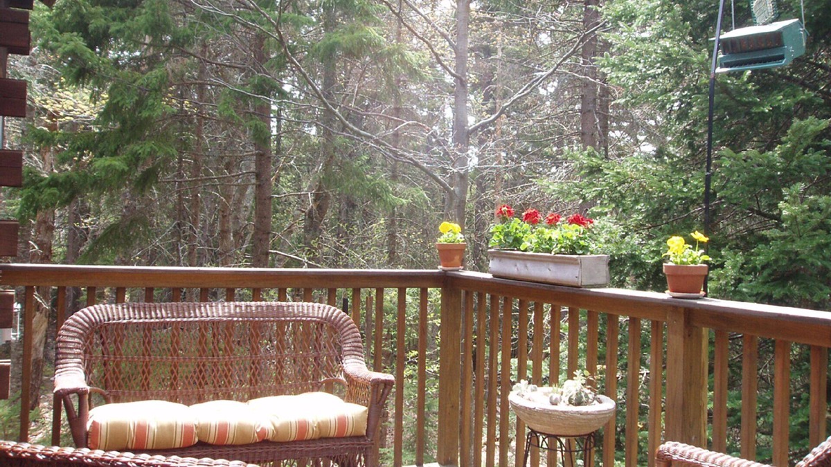 Mount Desert Cabin | Acadia Cabin on 2 Secluded Wooded Acres near Bar Harbor