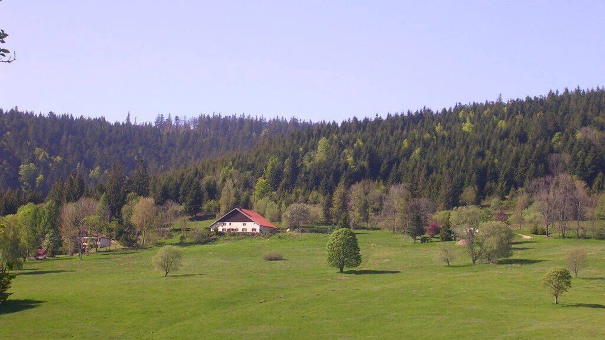 Le Grand Valtin Apartment | Accommodation for 12 people in renovated farmhouse Hautes Vosges very natural