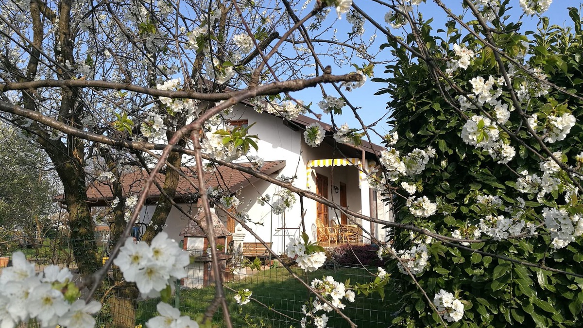 Giaveno House | Accommodation in delightful cottage in Giaveno CIR00111500011 CIN IT001115C286W593TP