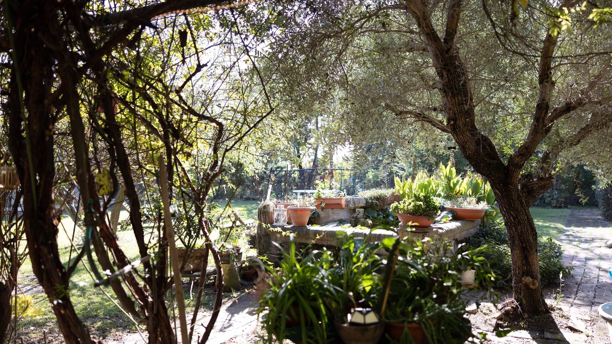 Castelfranco Emilia Bed & Breakfast | Acetaia Malagoli Daniele e B&B
