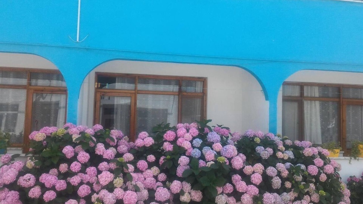 Marmara Apartment | Ada Motel