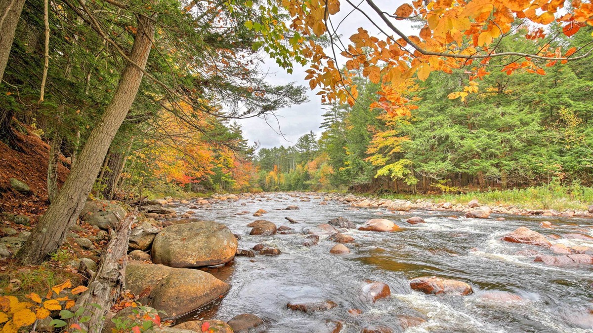 Glenfield Cabin | Adirondack Riverfront Log Cabin/ Amazing Rapids/ Natural Soaking Pools