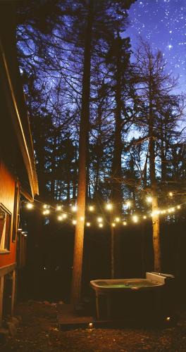 Jay House | ADK Forest Cabin near Lake Placid with Hot Tub and Ice Bath
