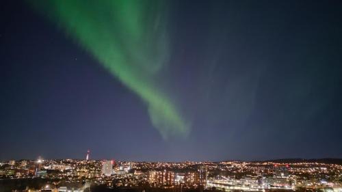 Trondheim Apartment | Adorable 1-bedroom apartment with a fantastic view - Free Parking