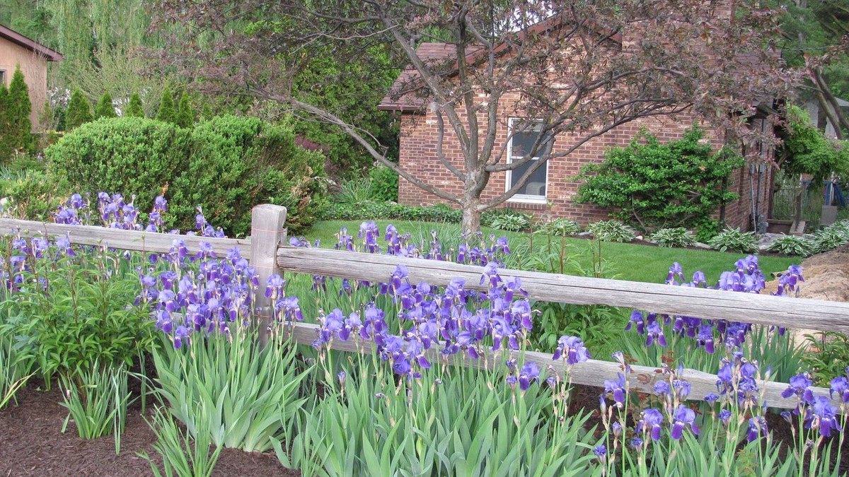 New Buffalo Cottage | Adorable Cottage New Buffalo, Mi. Near Grand Beach.1 Bedroom, Sleeps 5