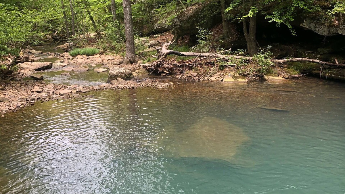 Deer Cabin | Adventure Awaits at the Deer Trails Cabin!