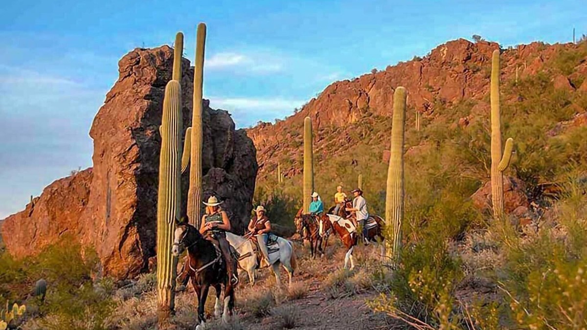 Palo Verde House | Adventure Awaits! Near Tucson Raceway Park, Golf