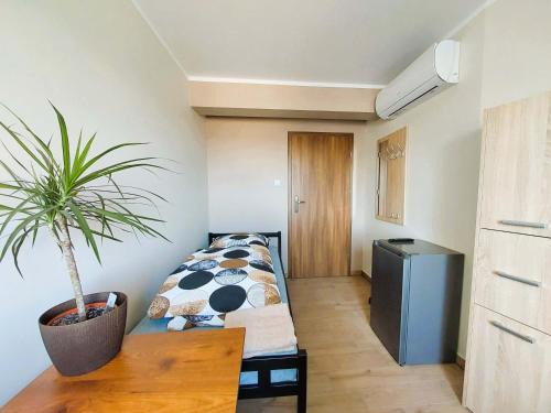 Ujazd Apartment | AE Berg