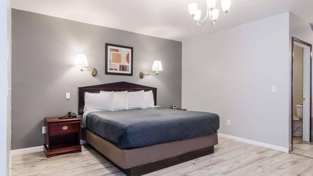 Aberdeen Hotel | Affordable Accommodation at GuestHouse Montesano! Pets Allowed, Free Parking