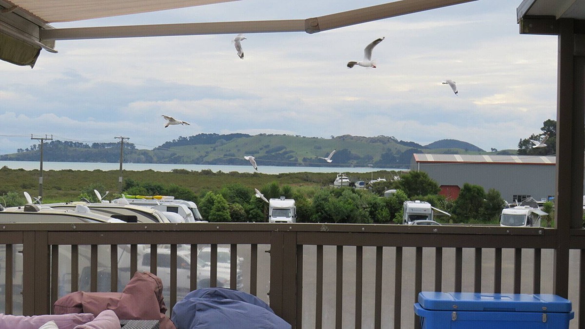 Coromandel Cabin | Affordable lodge, in-town location, perfect for groups and large families