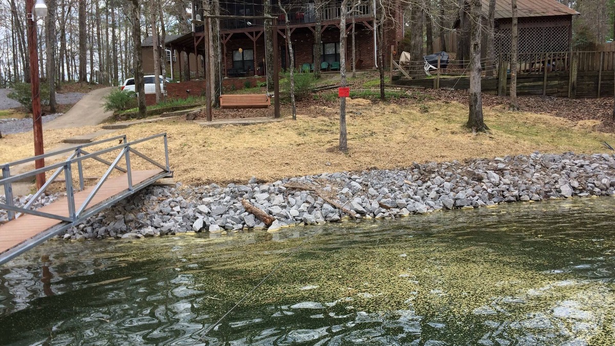 Arley House | Affordable Low Rates/Level Lot/Boat Ramp/Great lake spot