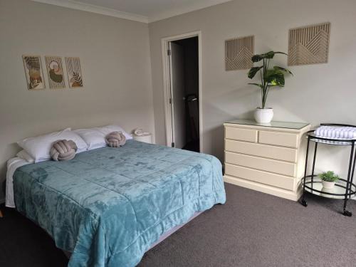 Pukekohe Apartment | Affordable Luxury One Bedroom Apartment in Pukekohe