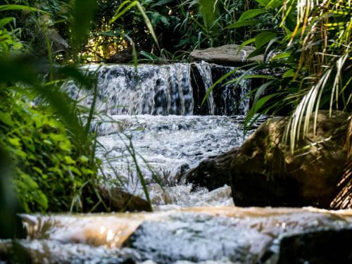 Pietermaritzburg House | Africa's Eden Guesthouse