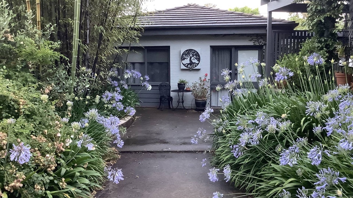 Hawker Cottage | Agapantha Cottage - Country in the City, original artwork, wkly/mthly discounts