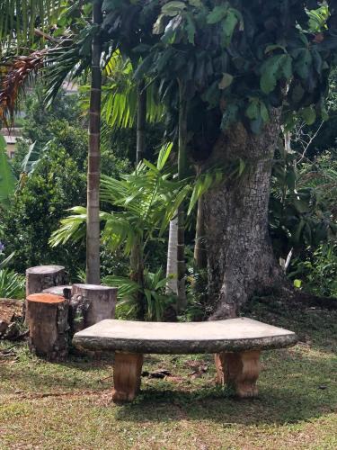 Mandeville Bed & Breakfast | Agapantha Cottage