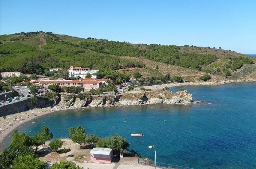 Banyuls-sur-Mer Apartment | Agréable studio à 250m de la plage avec loggia, animaux acceptés et parking privatif - FR-1-309-75