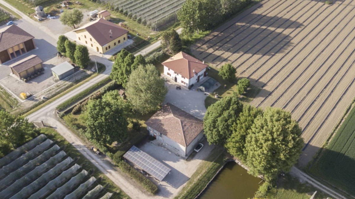 San Donino Apartment | Agriturismo Il Bio Nonno - Alloggio Ape