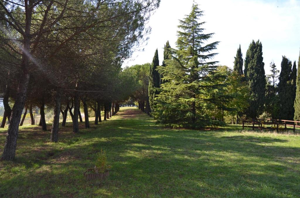 Monte Santa Maria Tiberina House | Agriturismo I Muri
