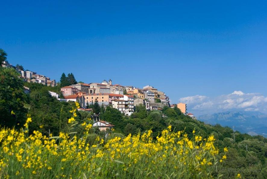Montano Antilia House | Agriturismo Ai Monaci
