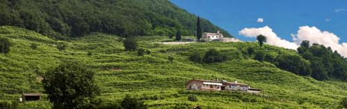 Valdobbiadene Bed & Breakfast | Agriturismo B&B Casa Bortolin