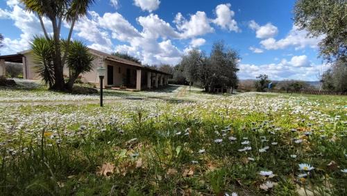 Manciano House | Agriturismo Bio Pian Dei Casali