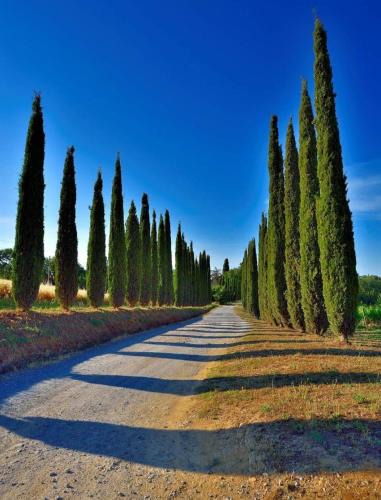 Magliano in Toscana House | Agriturismo Boschetto di Montiano