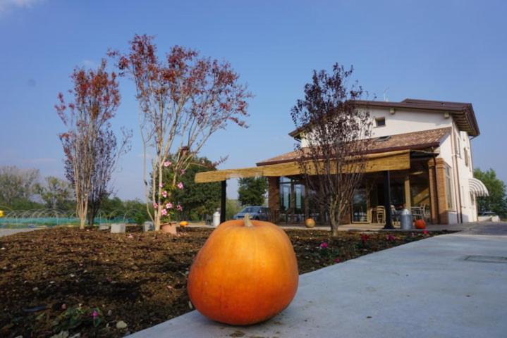Carpaneto Piacentino House | agriturismo campogrande