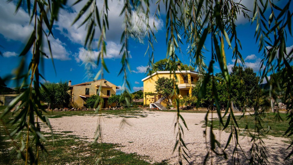 Martis House | Agriturismo Carrucana