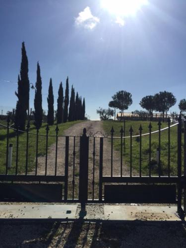 Cerveteri Apartment | Agriturismo Casale San Benedetto