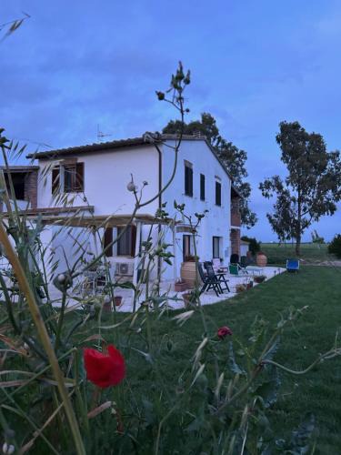 Grosseto Apartment | Agriturismo Fattoria Alessandrini