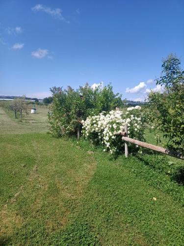 Rosignano Marittimo House | Agriturismo Il Cipresso