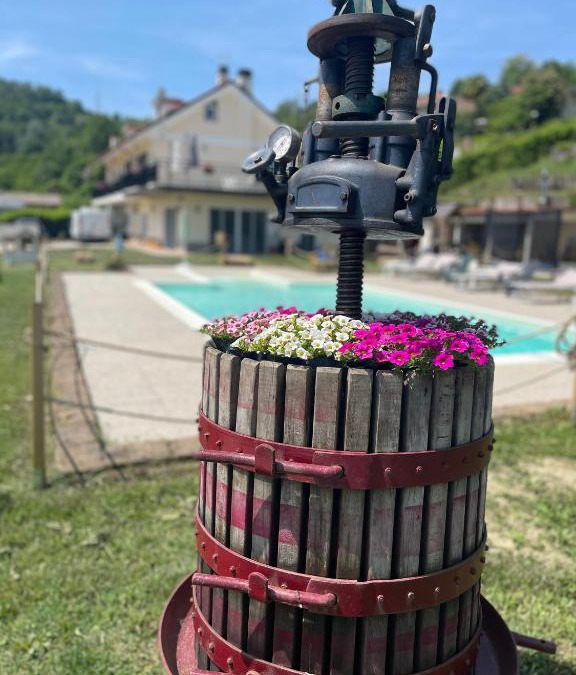Sciolze House | Agriturismo Ippocastano