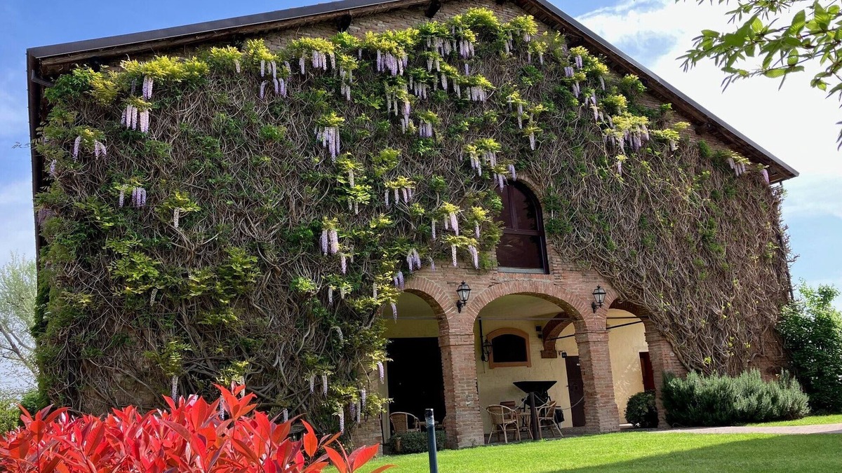 Castelfranco Emilia Other | Agriturismo La Lupa