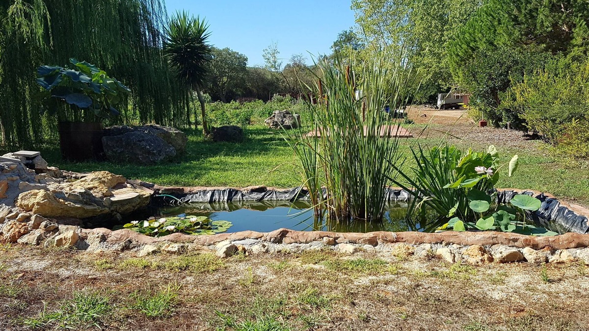 Olmedo House | Agriturismo La Barca In Secca