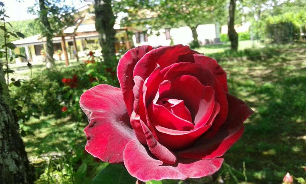 Roccamonfina House | AGRITURISMO LA MIA COLLINA