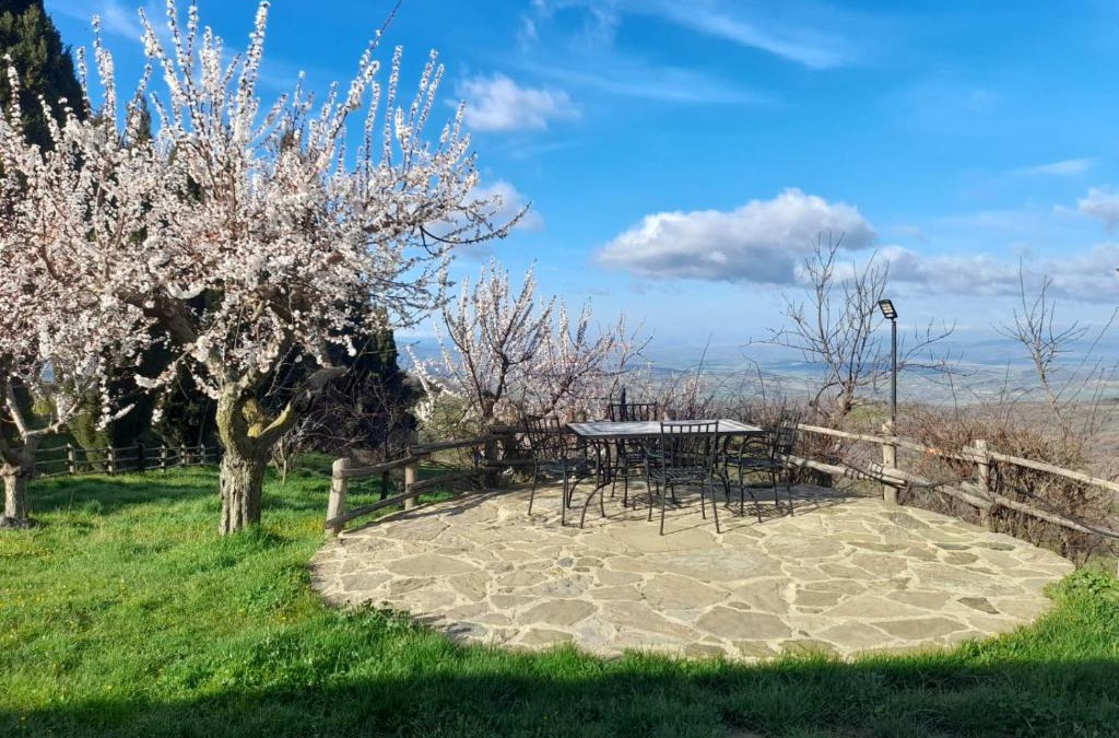 Stribugliano House | Agriturismo La valle del Monte Aquilaia