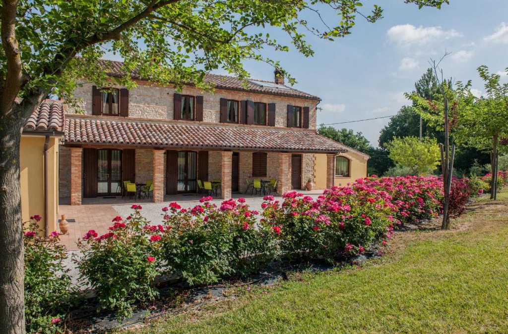Castelbellino House | Agriturismo La Vecchia Fonte